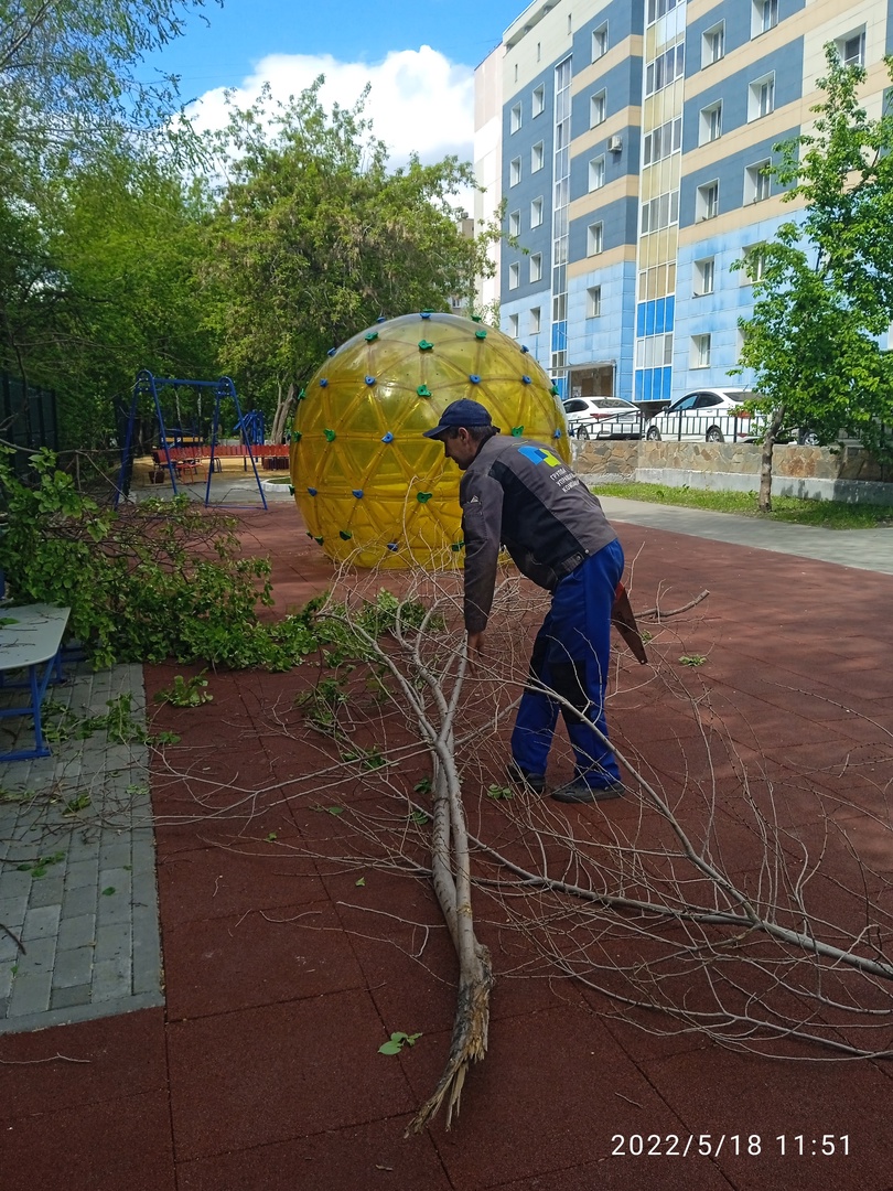 Обрезка аварийных веток