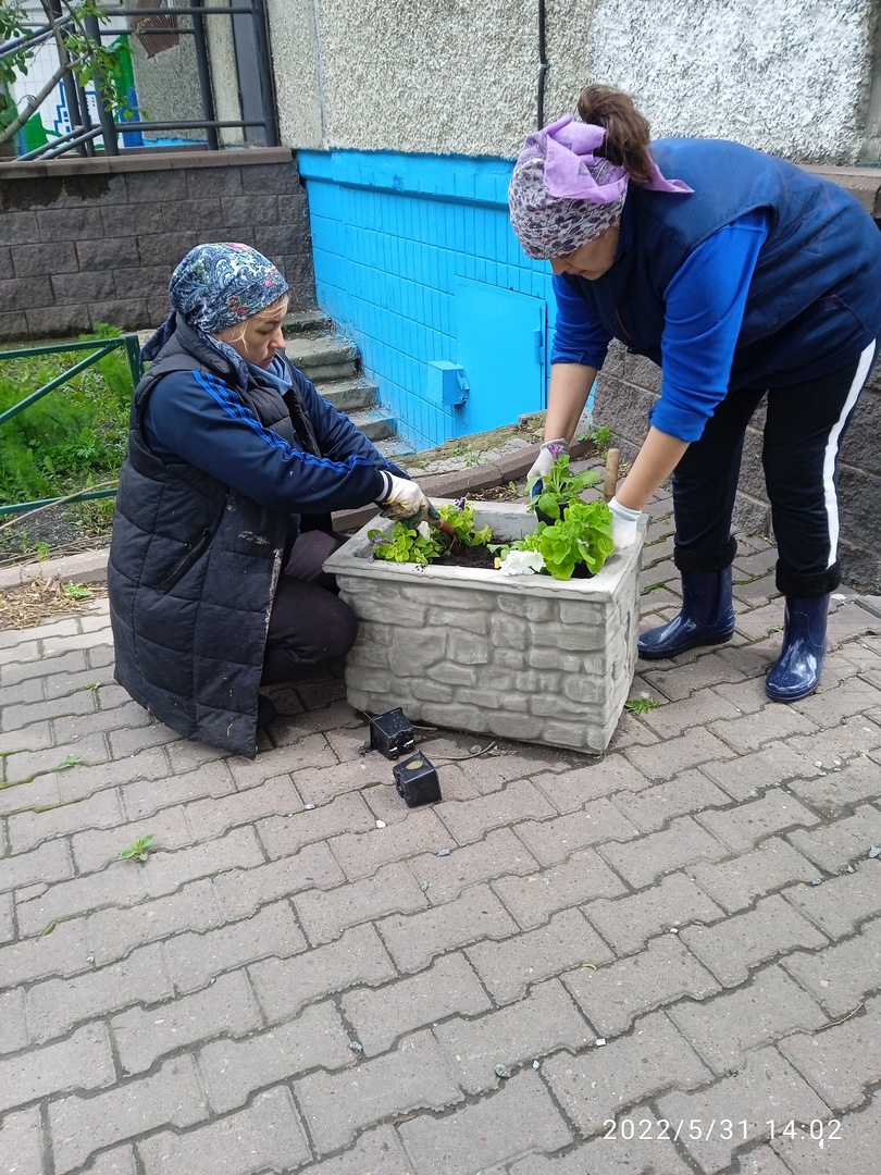 31.05.2022 высадка цветов на клумбах и придомовых территориях