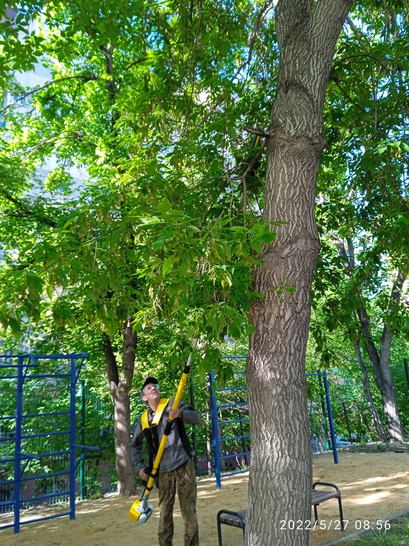 Санитарная и аварийная обрезка веток деревьев и кустарников