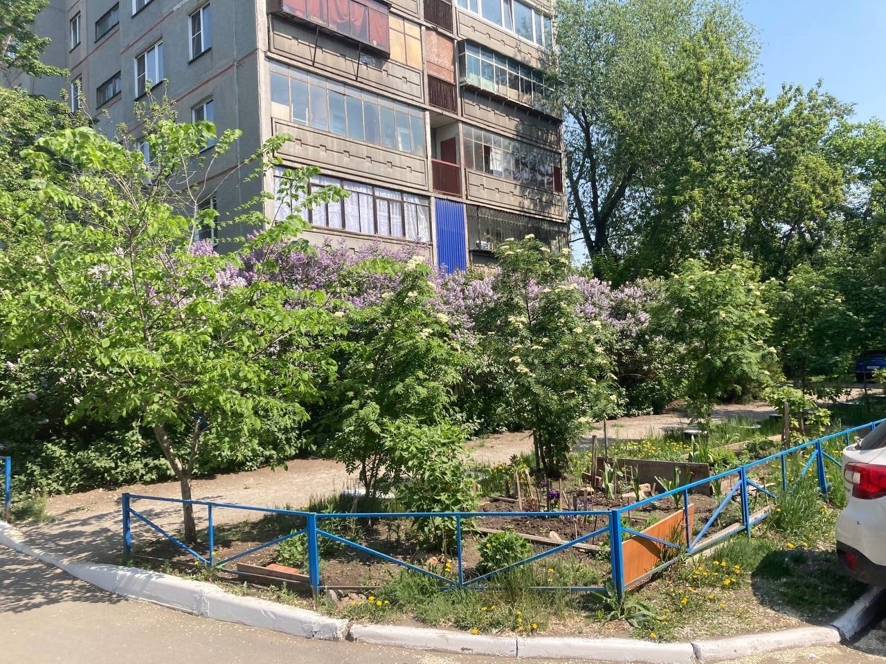 У нашего дома на проспекте Победы чудесные, благоустроенные палисадники.
Нам очень повезло с жителями, которые вкладывают стол...