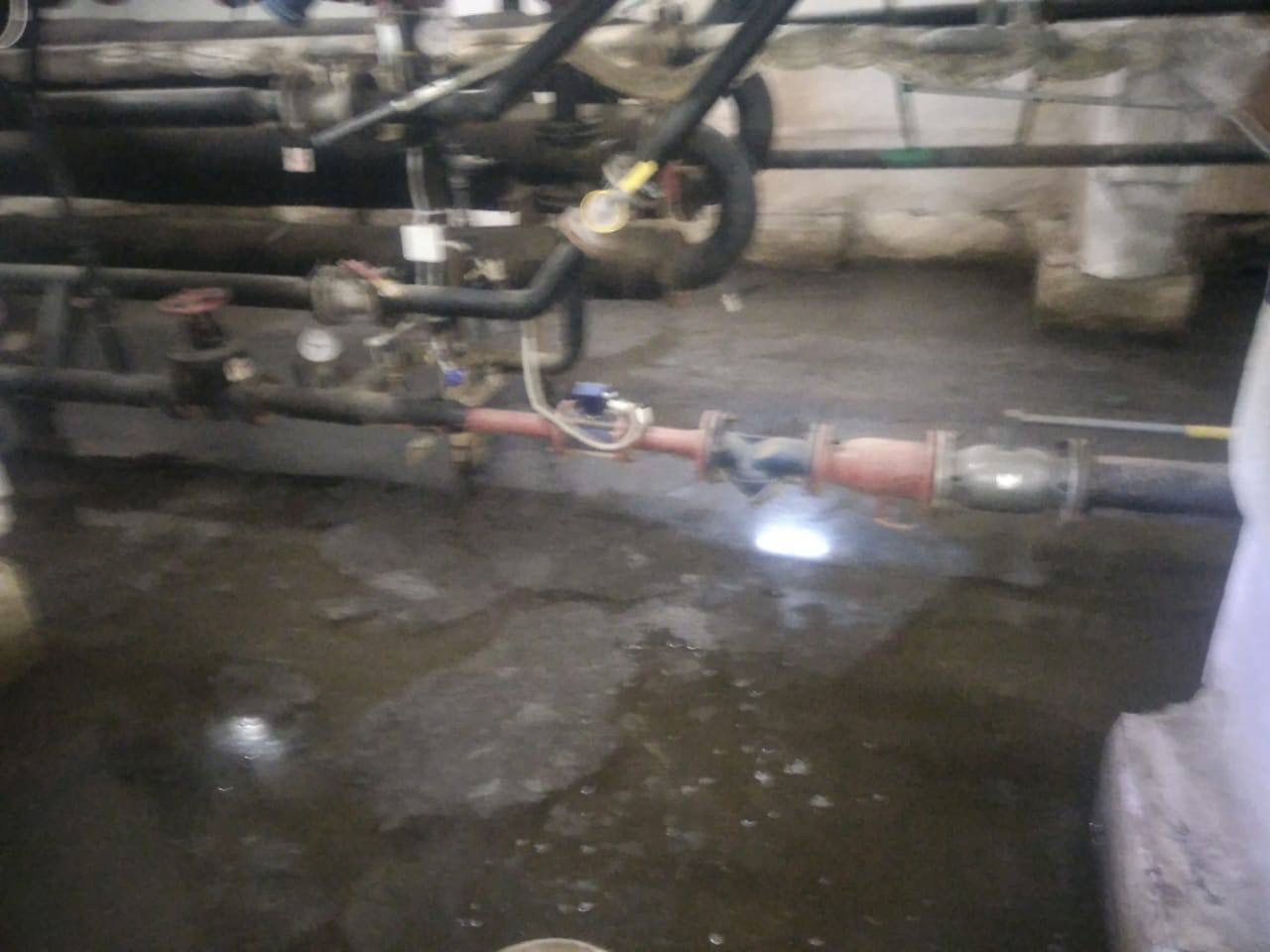 Жаль эти фотографии не передают запах!
С первого ноября к нам в управление перешел многоквартирный дом на Болейко 2.
Мы как ...