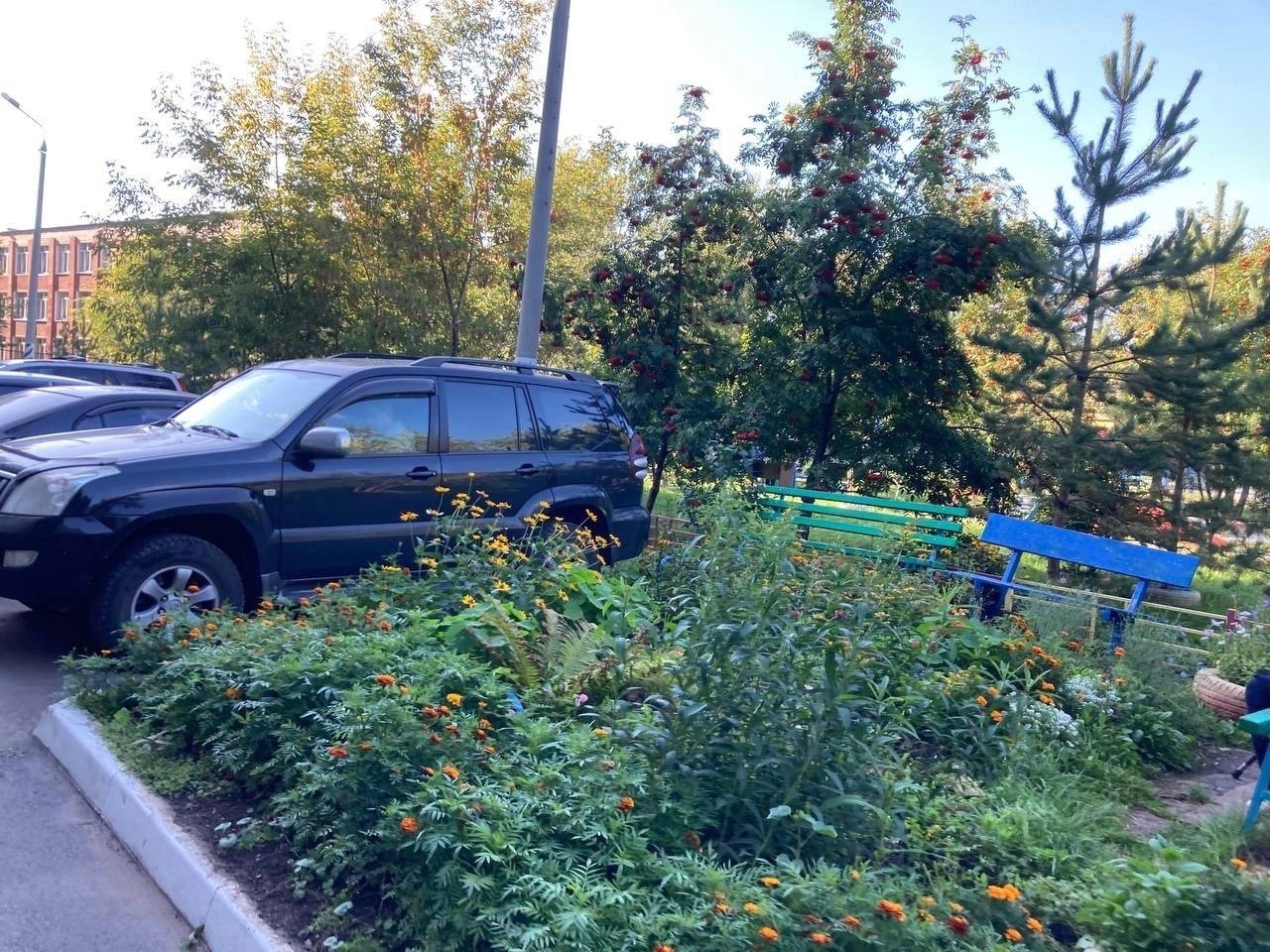 Вот такая чистота у нас во дворе на Шенкурской 11.
За этот труд мы благодарим наш профессиональный коллектив  в лице дворника,...